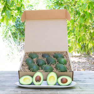 An image of a rustic, craft gift basket with vibrant dark green, buttery avocados on a wooden table, set against a background of sunlit greenery