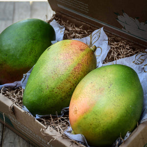 Large Mango