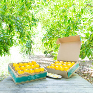 Lemons, Fresh 5 lbs - South's Market