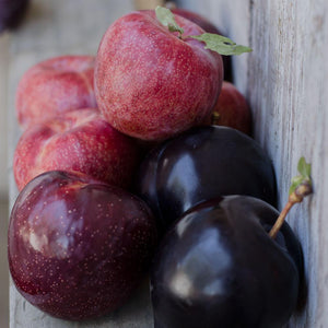 Organic Pluots | Organic Fruit Delivery