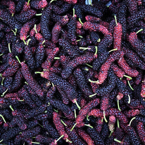 Organic Mulberries (Pre-order)