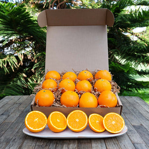 Organic Heirloom Navel Oranges