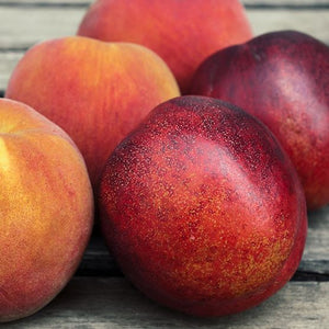 Organic Mixed Peaches & Nectarines