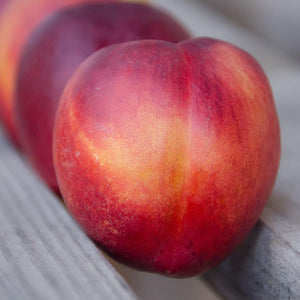 Organic Yellow Nectarines | Organic Fruit Delivery