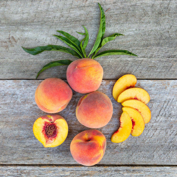 Organic O'Henry Peaches  Pre-Order – Frog Hollow Farm