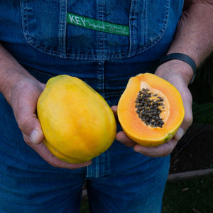 Organic Sunrise Papayas