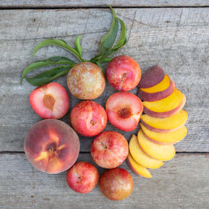 Organic Mixed Fruit