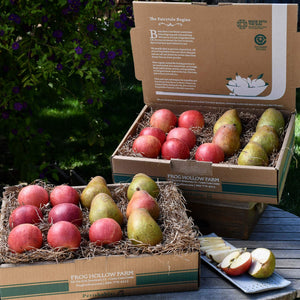 https://www.froghollow.com/cdn/shop/products/pears_apples_10lb_box_b5d02aac-dadc-41e6-89b7-69b81aa36554_300x300.jpg?v=1603738804