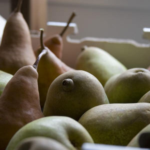 https://www.froghollow.com/cdn/shop/products/pears_mixed_300x300.jpg?v=1544829117