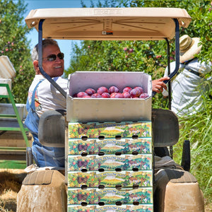 Organic Fuji Apples – Frog Hollow Farm