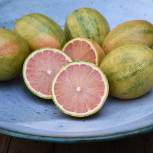Organic Pink Variegated Lemons