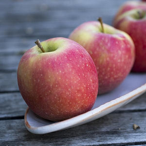 Organic Pink Lady® Apples – Frog Hollow Farm