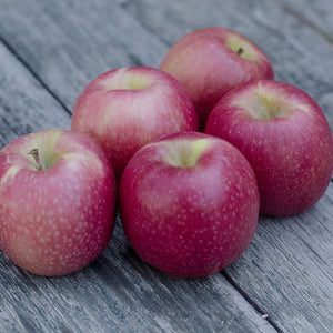 Fresh Pink Lady Apples