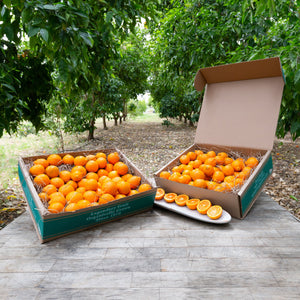 Organic Pixie Tangerines