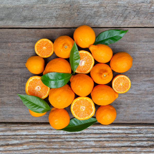 Organic Pixie Tangerines – Frog Hollow Farm