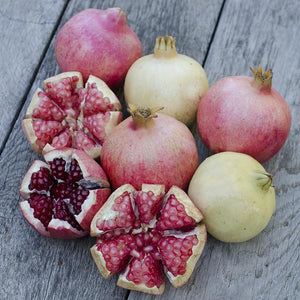 Organic Pomegranates 