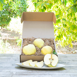 Organic Fuji Apples – Frog Hollow Farm