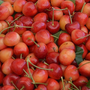 Organic Rainier Cherries | Organic Fruit Delivery