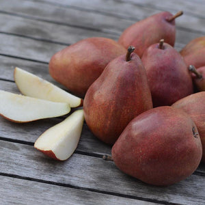Organic Red D'Anjou Pears – Frog Hollow Farm