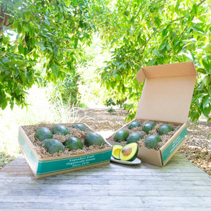 Two craft gift baskets filled with shiny dark green, buttery avocados, set against a background of vibrant, sunlit greenery.