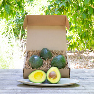An image of a rustic, craft gift basket with shiny dark green, buttery avocados on a wooden table, set against a background of sunlit greenery.