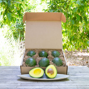 An image of a rustic, craft gift basket with shiny dark green, buttery avocados on a wooden table, set against a background of sunlit greenery