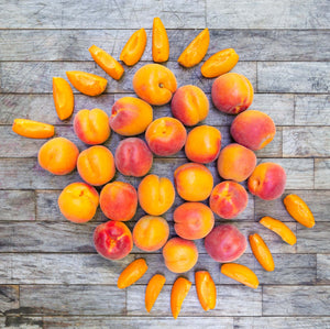 Organic Robada Apricots