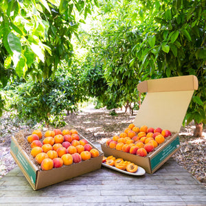 Organic Robada Apricots