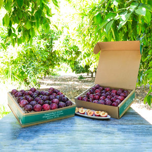 Organic Santa Rosa Plums  Pre-Order – Frog Hollow Farm