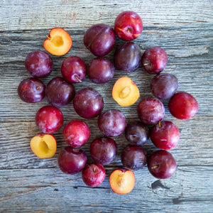 Organic Santa Rosa Plums  Pre-Order – Frog Hollow Farm