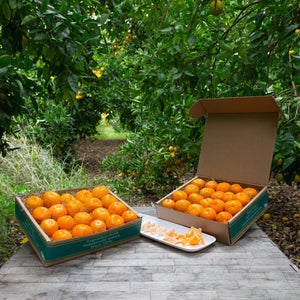 Get Sweet Satsuma Mandarin Oranges Delivered