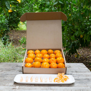Organic Satsuma Mandarins