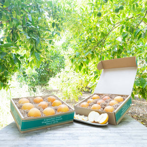 Organic Shinko Asian Pears