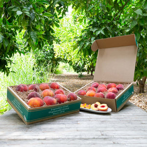 Organic Cal Red Peaches Pre-Order – Frog Hollow Farm