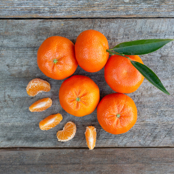 mandarin tarp Organic Tango Mandarins