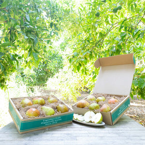 TAYLOR'S GOLD PEARS — Earl's Organic Produce