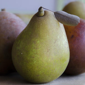 Warren Pear Legacy | Organic Pears