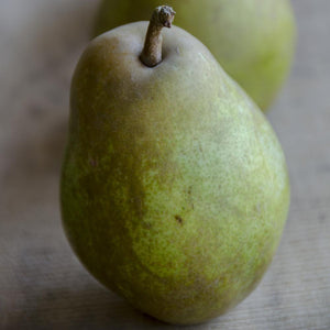Warren Pear Legacy | Organic Pears