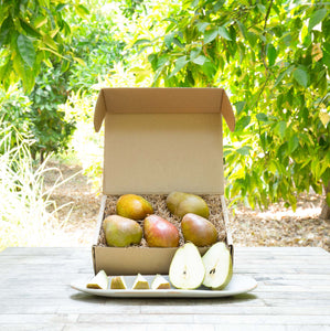 Organic Warren pears  with green and speckled red skin in a small box placed on a table in an orchard.