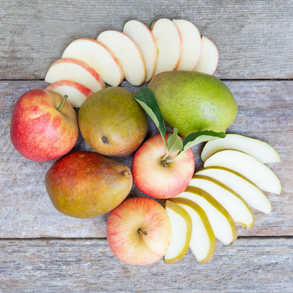 Organic Warren Pears & Apples – Frog Hollow Farm