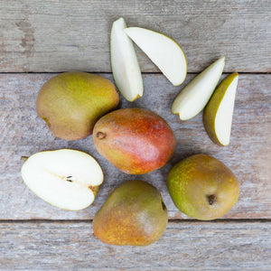 Organic Warren pears  with green and speckled red skin and silky creamy flesh sliced open on rustic barnboard.