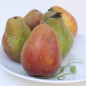 Warren Pear Legacy (Petite) | Organic Pear Club
