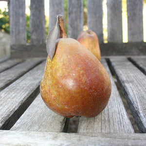 Warren Pear Legacy | Organic Pears