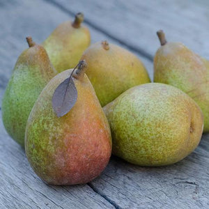 2022 Warren Pear Legacy (Petite) | Organic Fruit Club | 4 Shipments